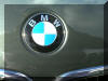 View of front BMW emblem and bra